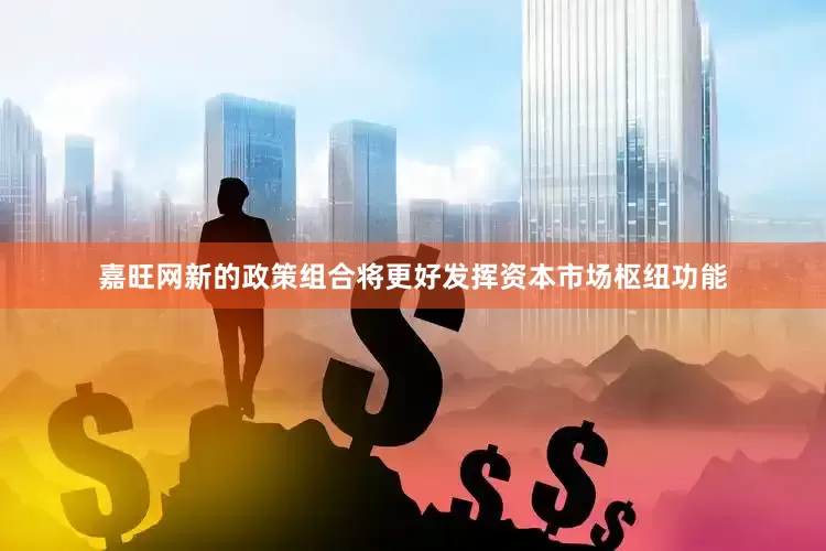 嘉旺网新的政策组合将更好发挥资本市场枢纽功能
