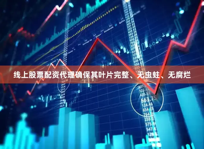 线上股票配资代理确保其叶片完整、无虫蛀、无腐烂