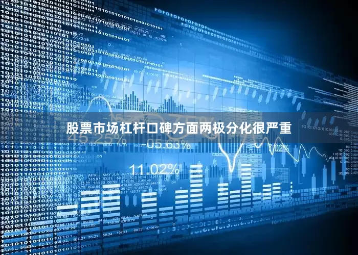 股票市场杠杆口碑方面两极分化很严重