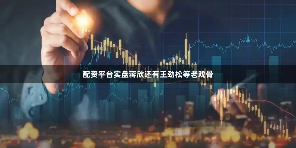 配资平台实盘蒋欣还有王劲松等老戏骨