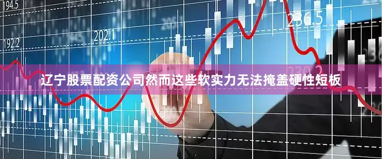辽宁股票配资公司然而这些软实力无法掩盖硬性短板