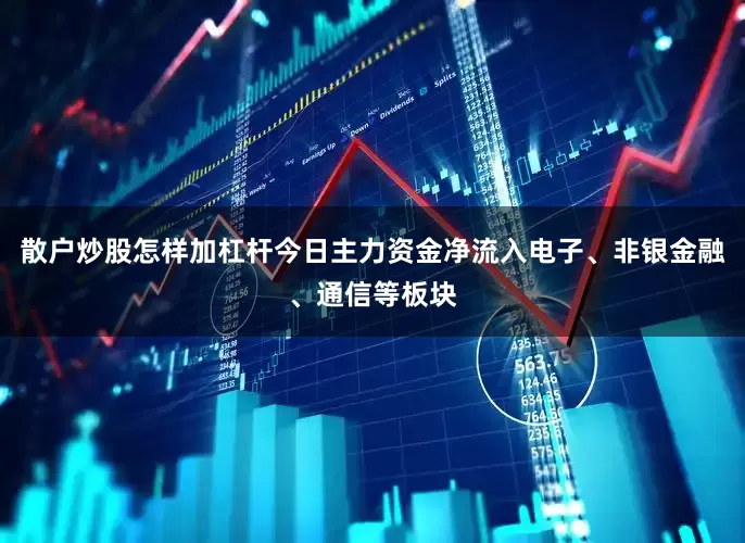 散户炒股怎样加杠杆今日主力资金净流入电子、非银金融、通信等板块