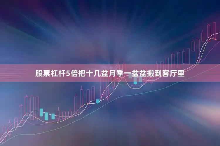 股票杠杆5倍把十几盆月季一盆盆搬到客厅里