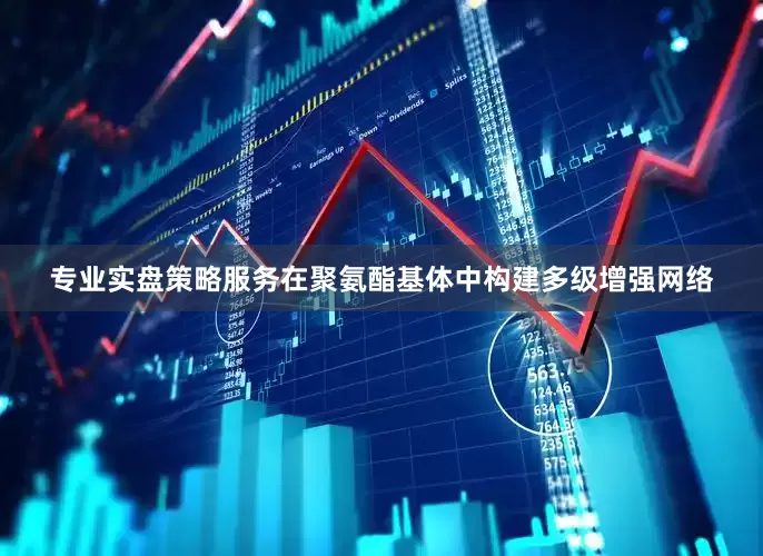 专业实盘策略服务在聚氨酯基体中构建多级增强网络